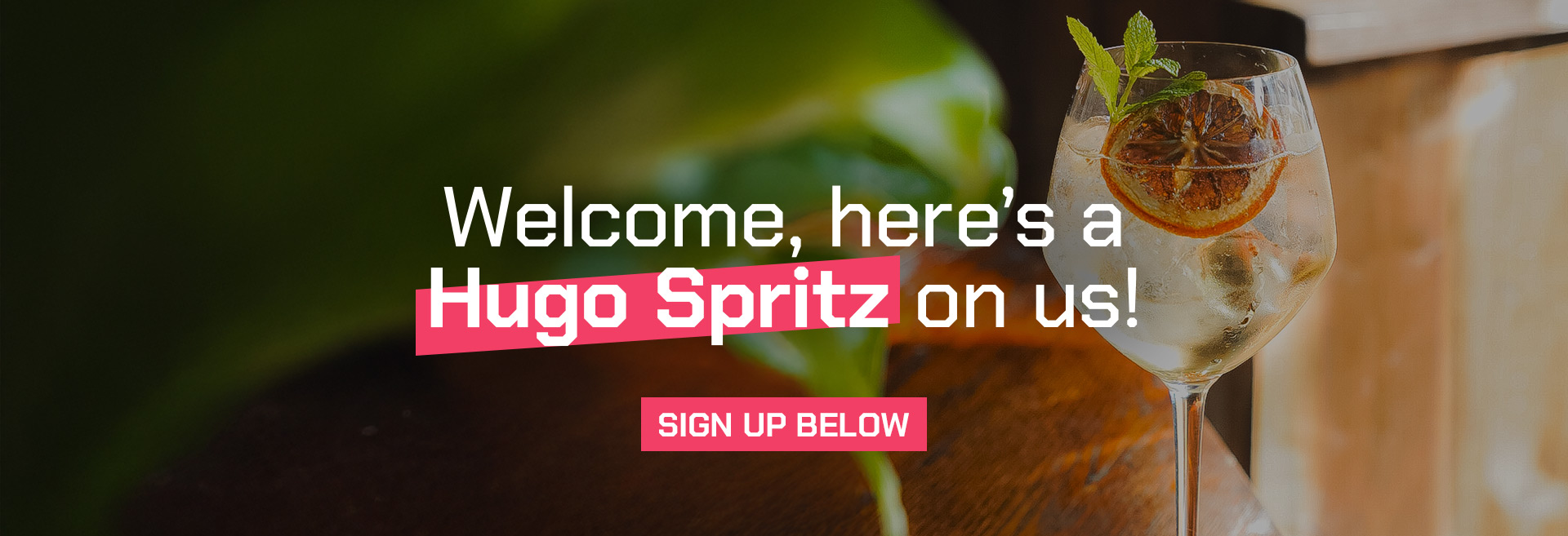 Sign up to the newsletter at The North Star